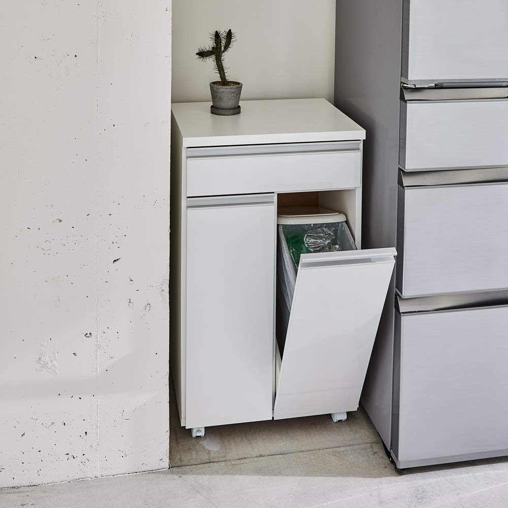 ディノス ステンレス製ダストボックスワゴン 2分別タイプ 日本製